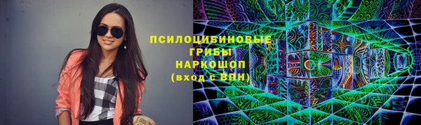 ГАЛЛЮЦИНОГЕННЫЕ ГРИБЫ Баксан