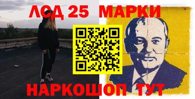 крисы Кулебаки