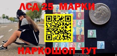 крисы Кулебаки