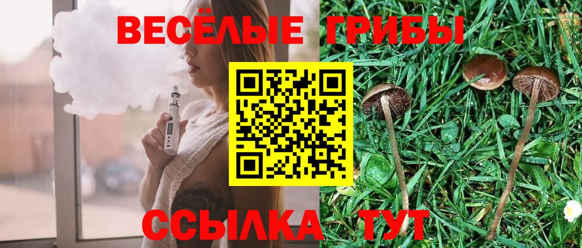 Галлюциногенные грибы Magic Shrooms Заречный