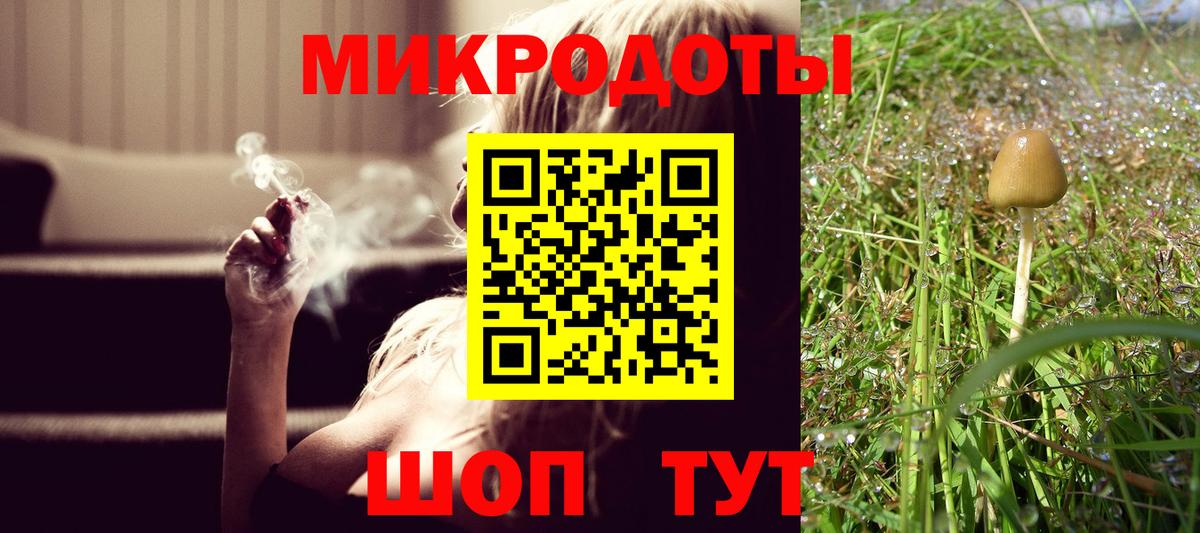 Заречный  Псилоцибиновые грибы мухоморы  Вход с VPN  Галлюциногенные грибы мухоморы 