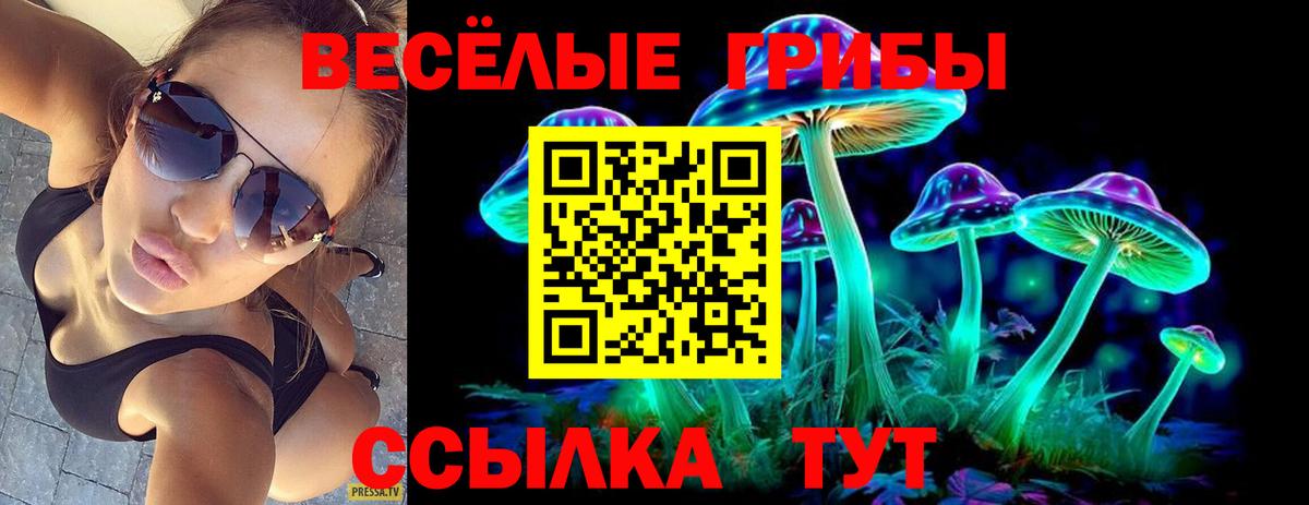 Кодеин  Вход с VPN  ГАШИШ  Заречный  Где найти наркотики?  Меф МЯУ МЯУ   Канабис 