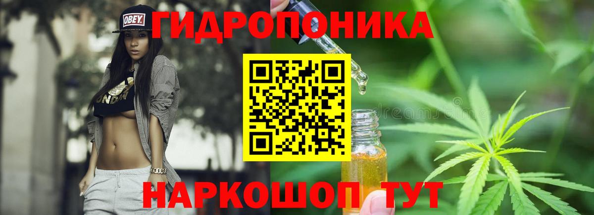 МАРИХУАНА Amnesia  Бошки марихуана марихуана  Заречный  Вход с VPN  МАРИХУАНА THC 21% 